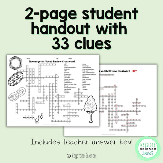 Cell Energy Bioenergetics Vocab Review Crossword Puzzle