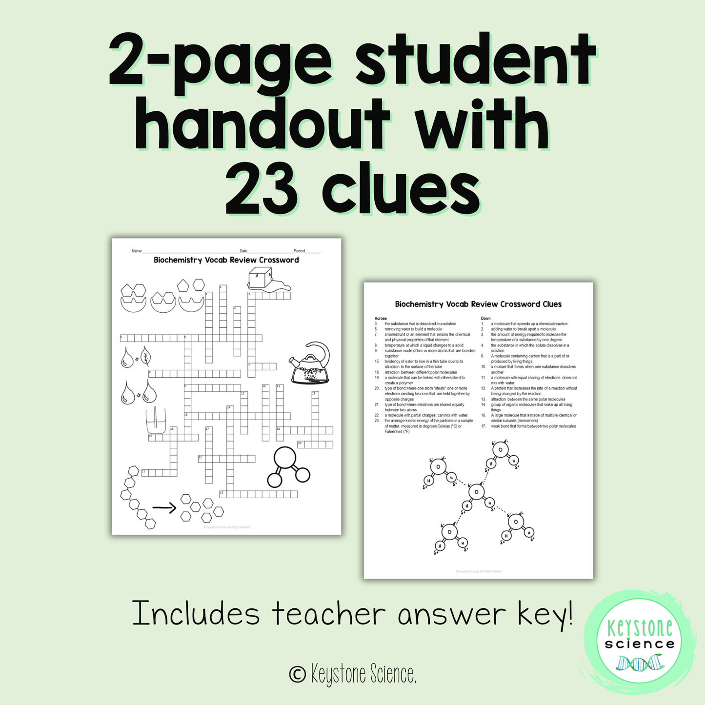 Biochemistry Water Enzymes Vocab Review Crossword Puzzle