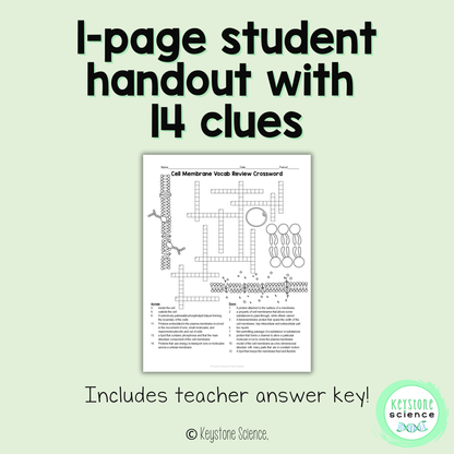 Cell Membrane Structure Vocab Review Crossword Puzzle