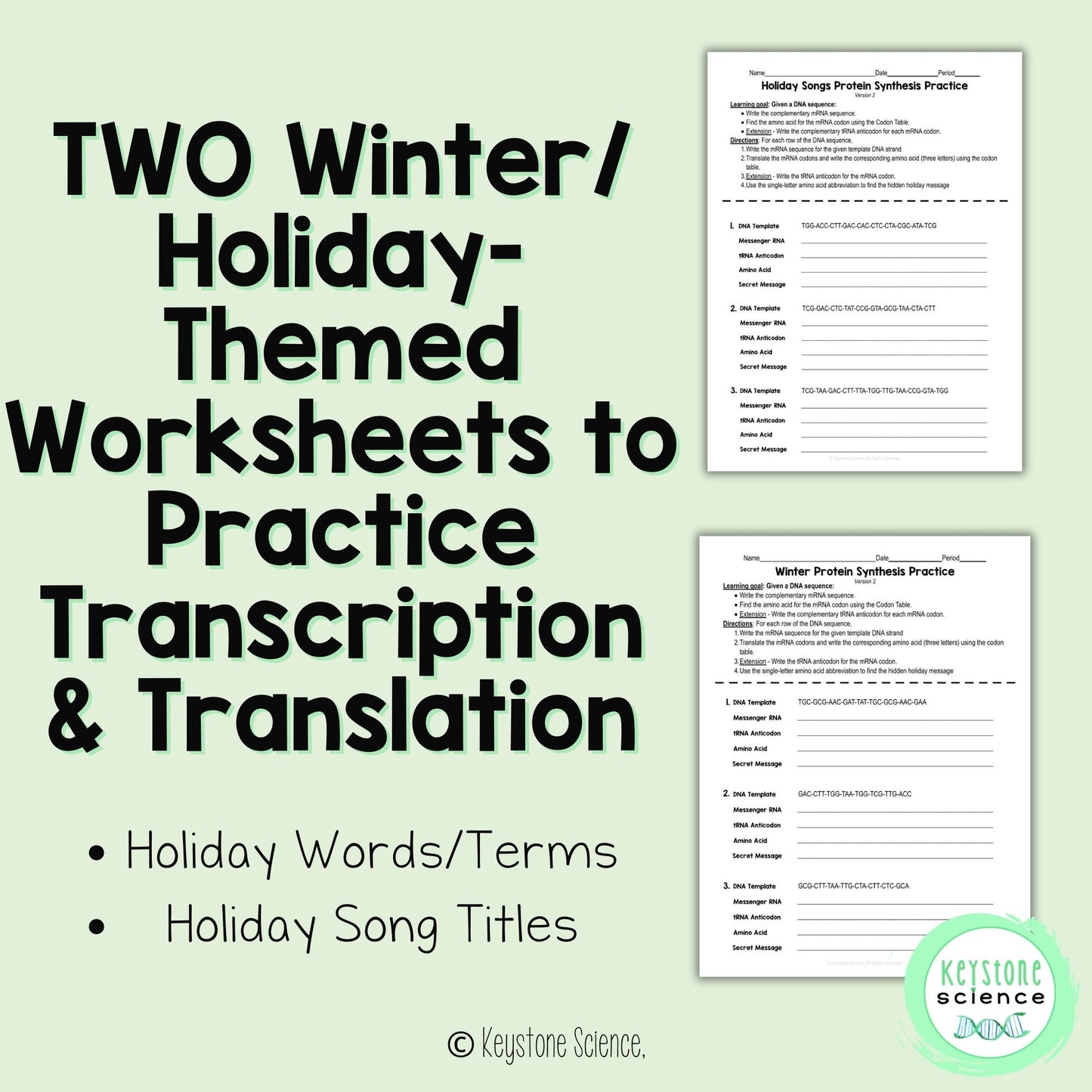 Transcription Translation Practice Worksheet Winter Holiday Protein Synthesis