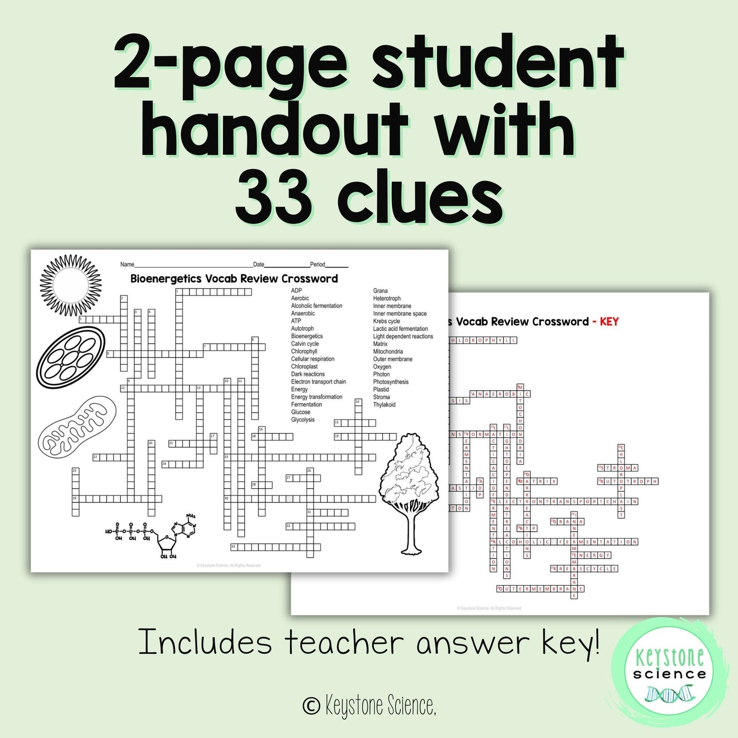 Cell Energy Bioenergetics Vocab Review Crossword Puzzle