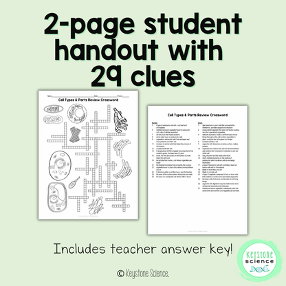 Cell Types Organelles Vocab Review Crossword Puzzle Animal and Plant Cells