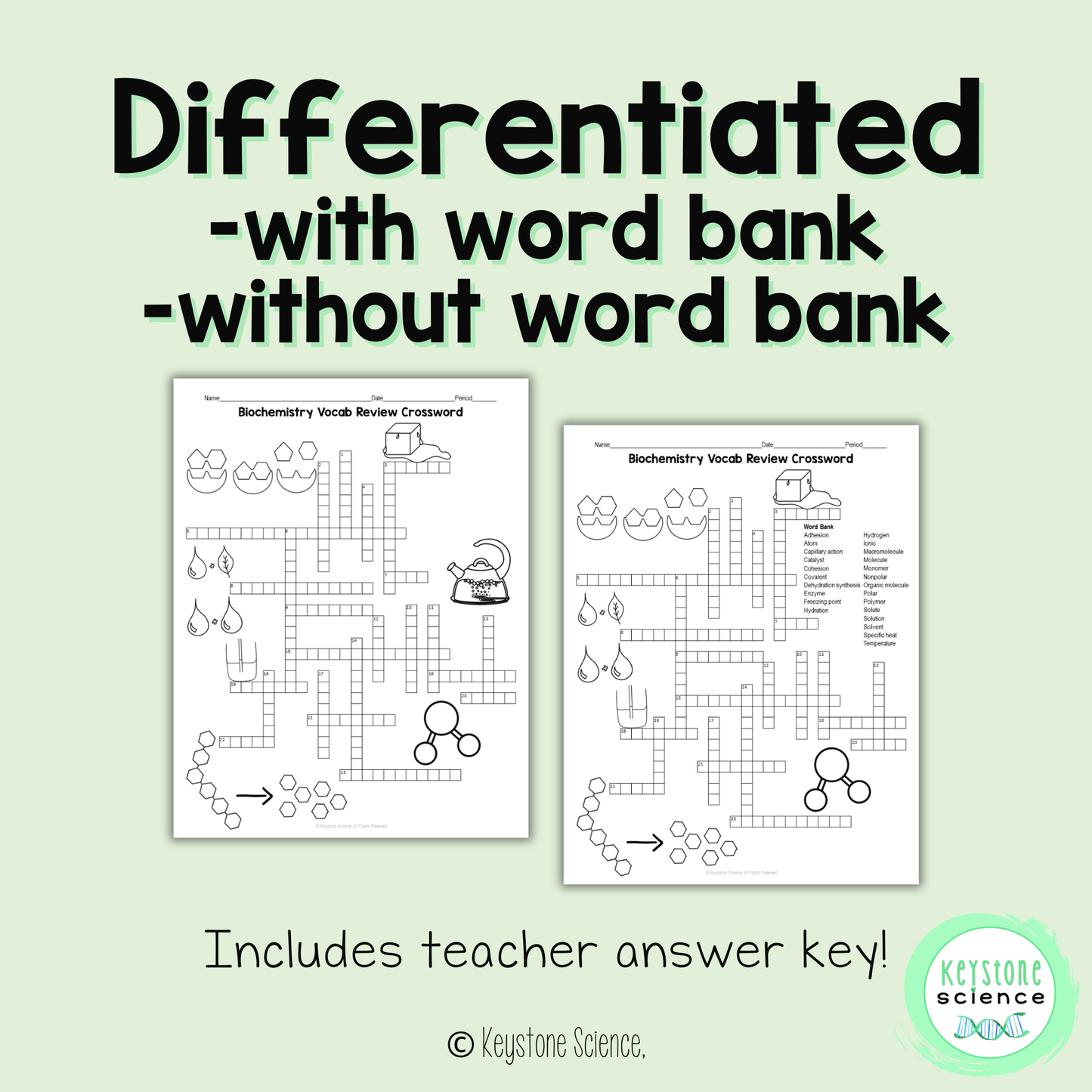 Biochemistry Water Enzymes Vocab Review Crossword Puzzle