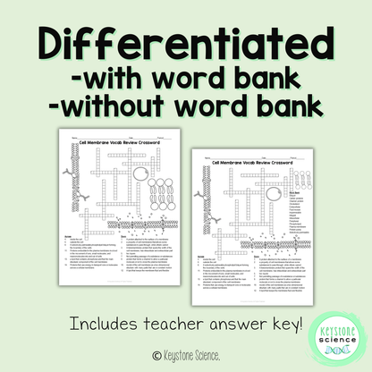 Cell Membrane Structure Vocab Review Crossword Puzzle