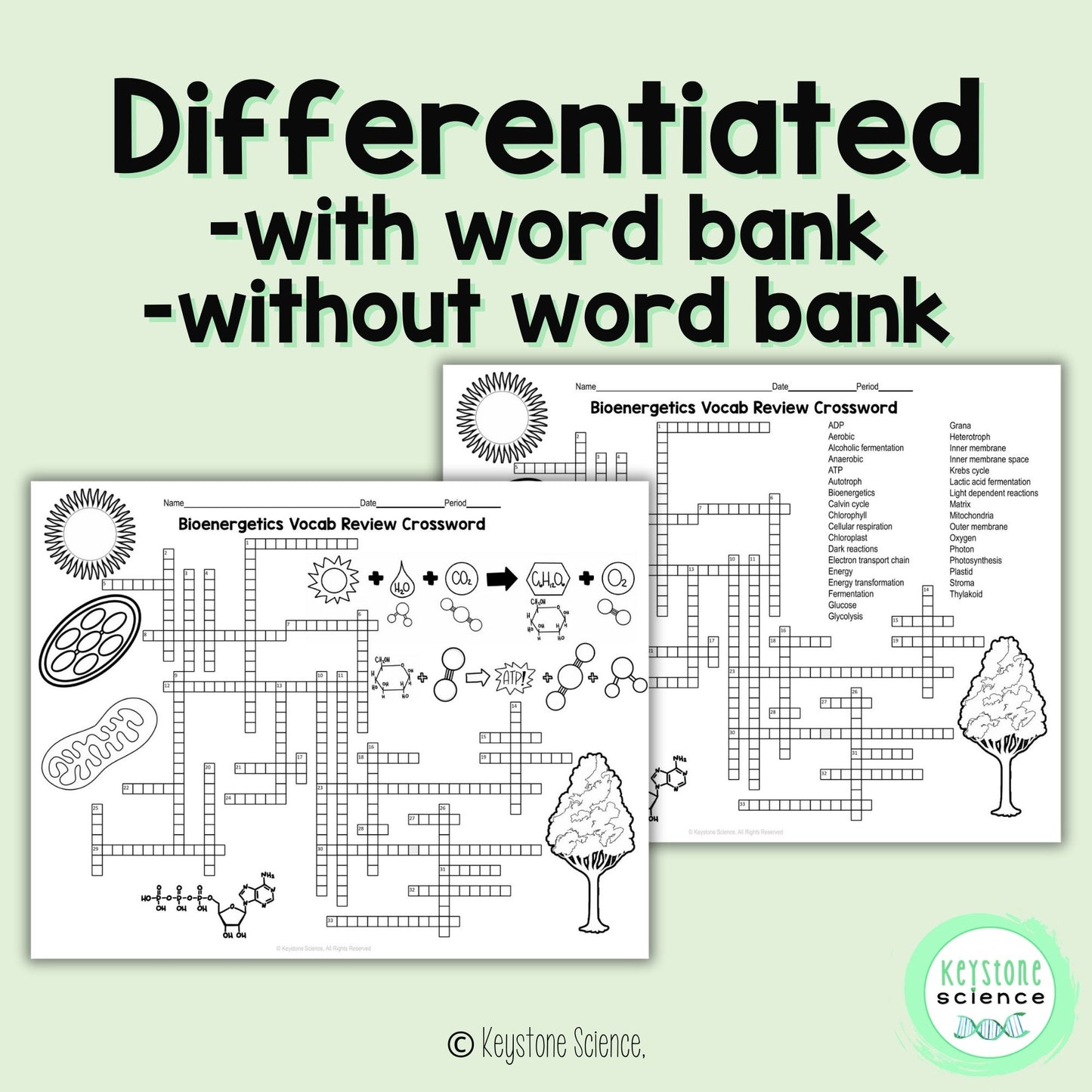 Cell Energy Bioenergetics Vocab Review Crossword Puzzle