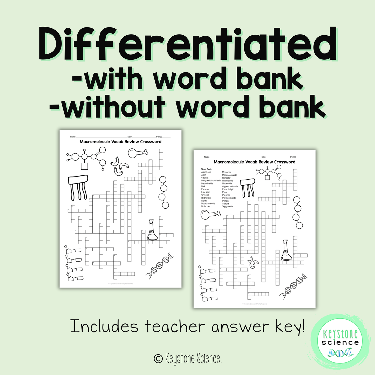 Organic Macromolecules Vocab Review Crossword Puzzle Biochemistry Molecules