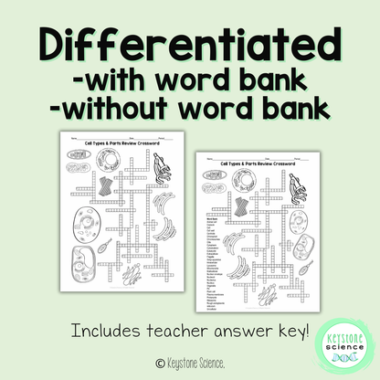 Cell Types Organelles Vocab Review Crossword Puzzle Animal and Plant Cells