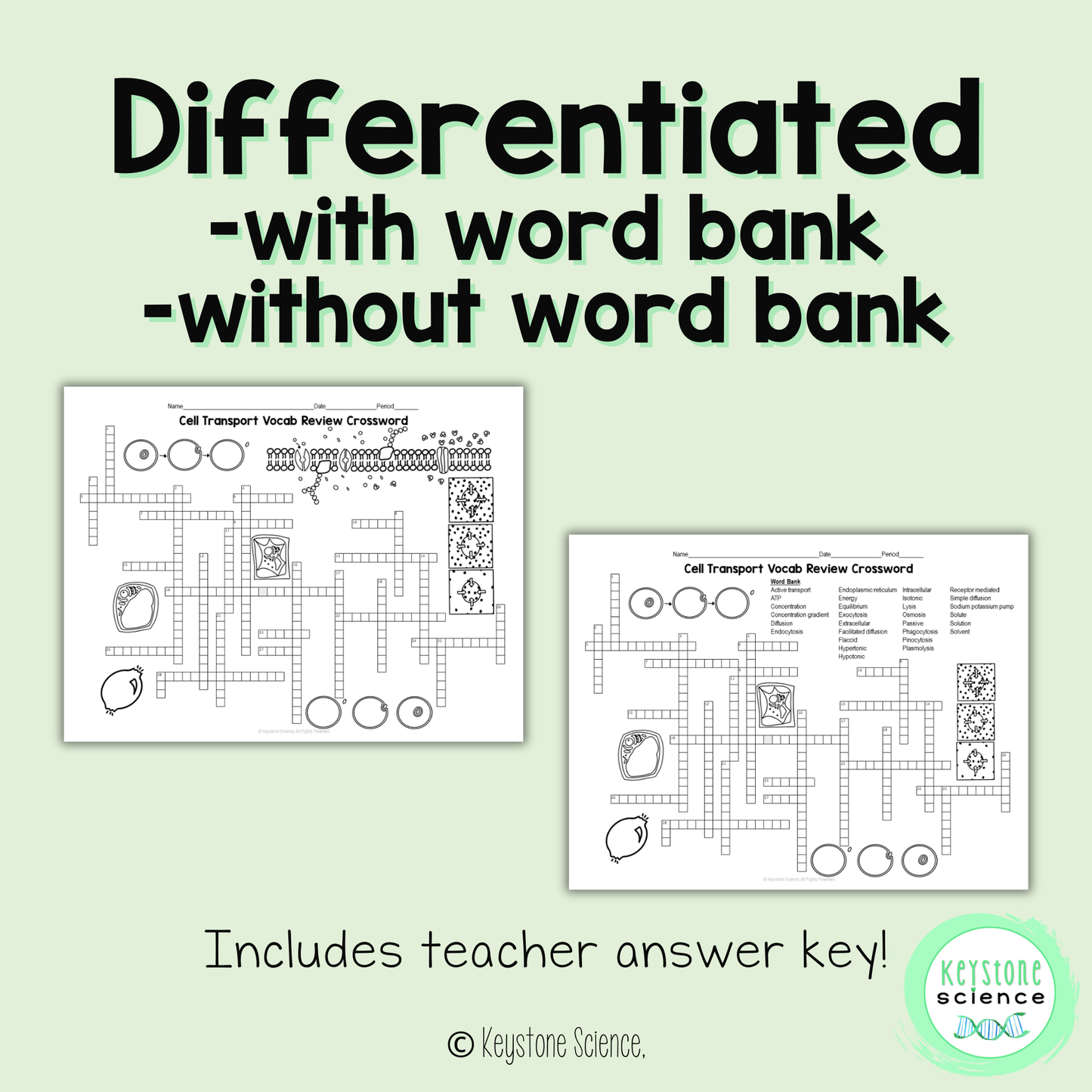 Cell Transport and Osmosis Vocab Review Crossword Puzzle