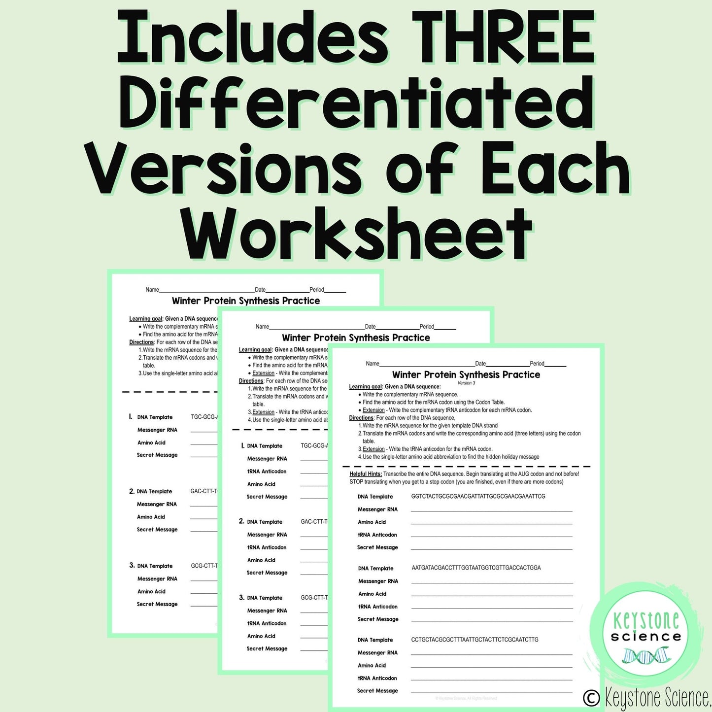 Transcription Translation Practice Worksheet Winter Holiday Protein Synthesis