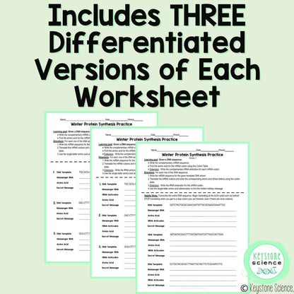 Transcription Translation Practice Worksheet Winter Holiday Protein Synthesis