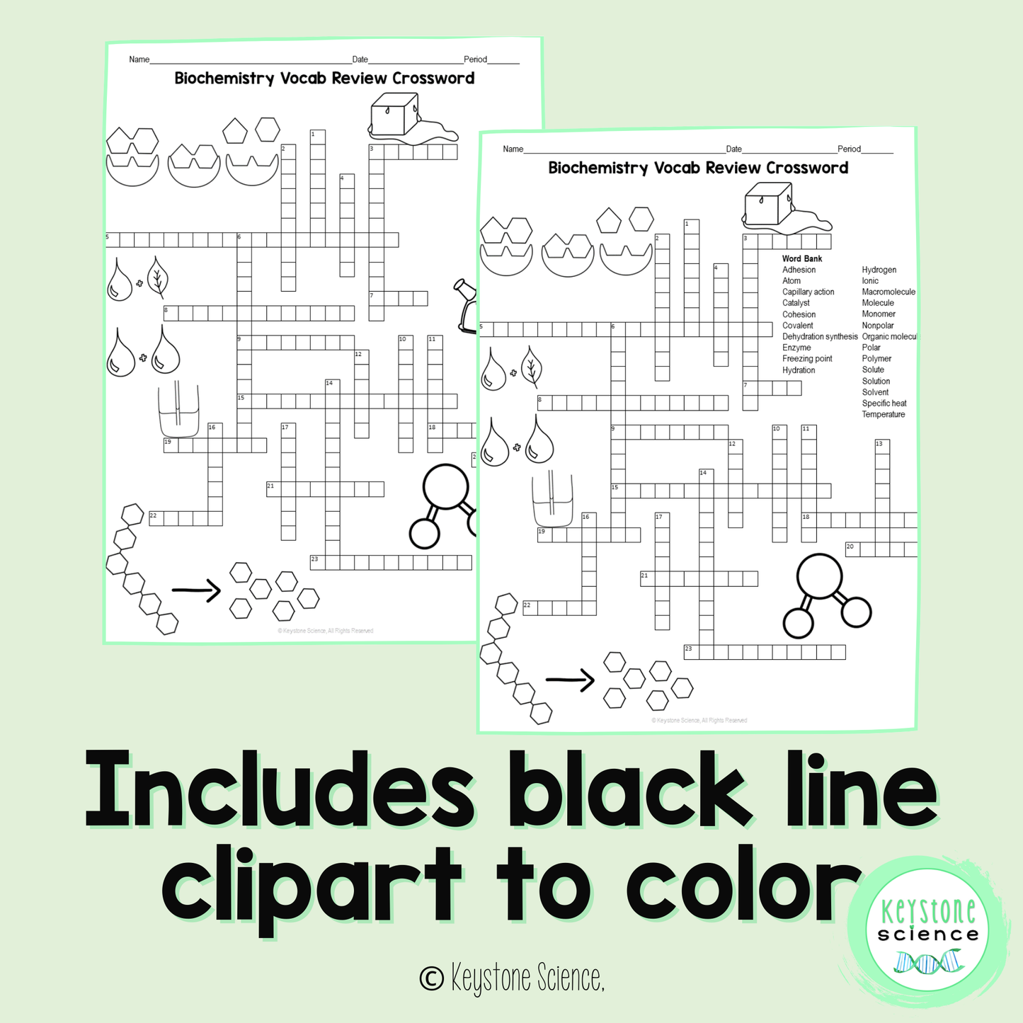 Biochemistry Water Enzymes Vocab Review Crossword Puzzle