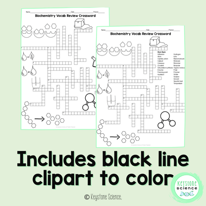 Biochemistry Water Enzymes Vocab Review Crossword Puzzle