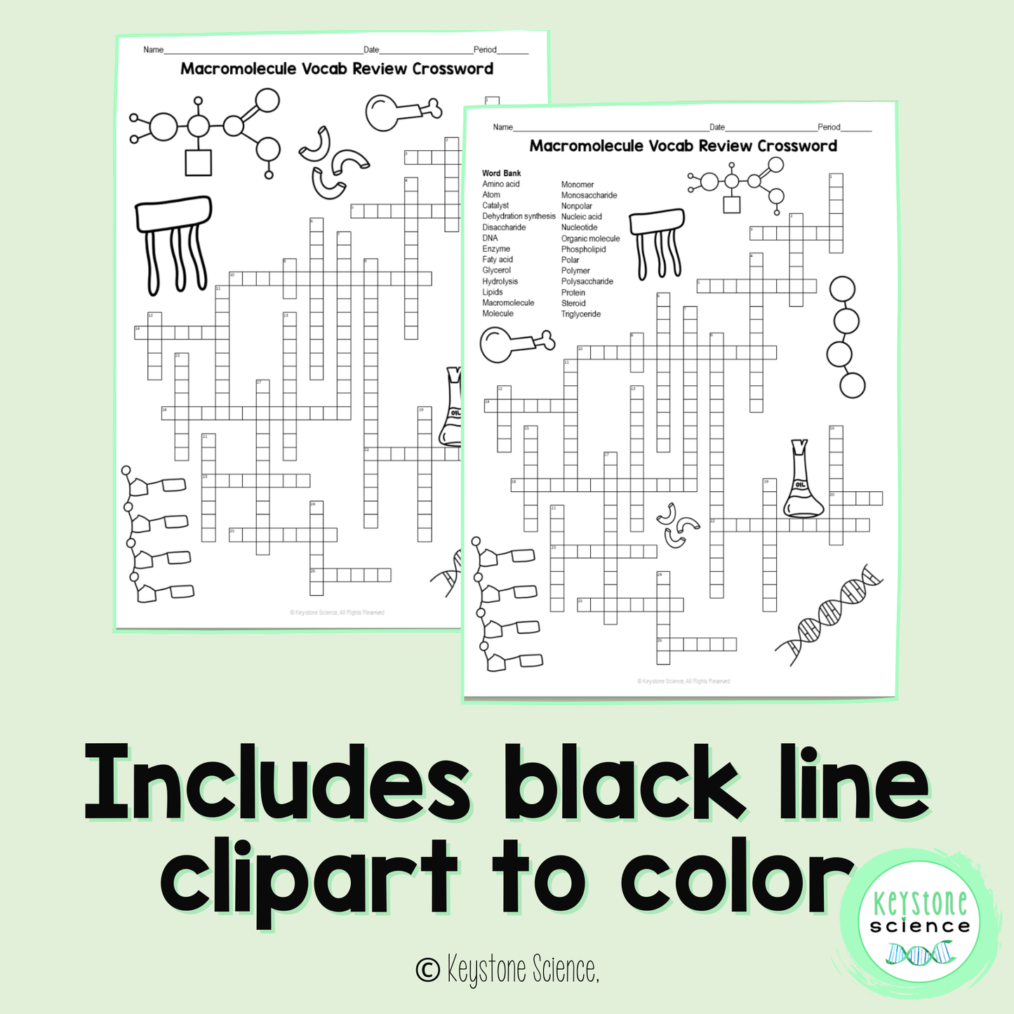 Organic Macromolecules Vocab Review Crossword Puzzle Biochemistry Molecules