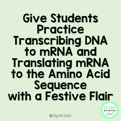 Transcription Translation Practice Worksheet Winter Holiday Protein Synthesis