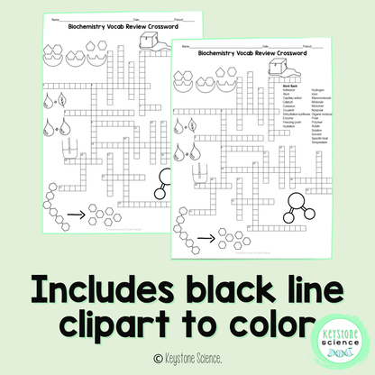 Properties of Water Review Crossword Puzzle Biochemistry Cohesion Adhesion