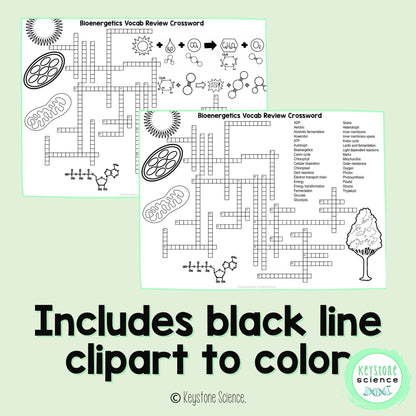 Cell Energy Bioenergetics Vocab Review Crossword Puzzle