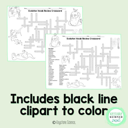 Evolution Vocabulary Review Crossword Puzzle | Natural Selection & Biology Activity