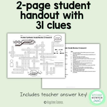 Protein Synthesis Vocab Review Crossword Puzzle Transcription Translation