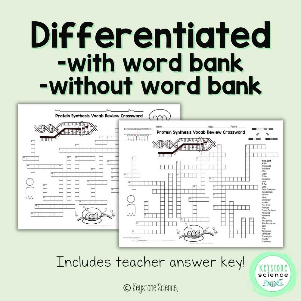Protein Synthesis Vocab Review Crossword Puzzle Transcription Translation