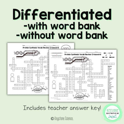 Protein Synthesis Vocab Review Crossword Puzzle Transcription Translation