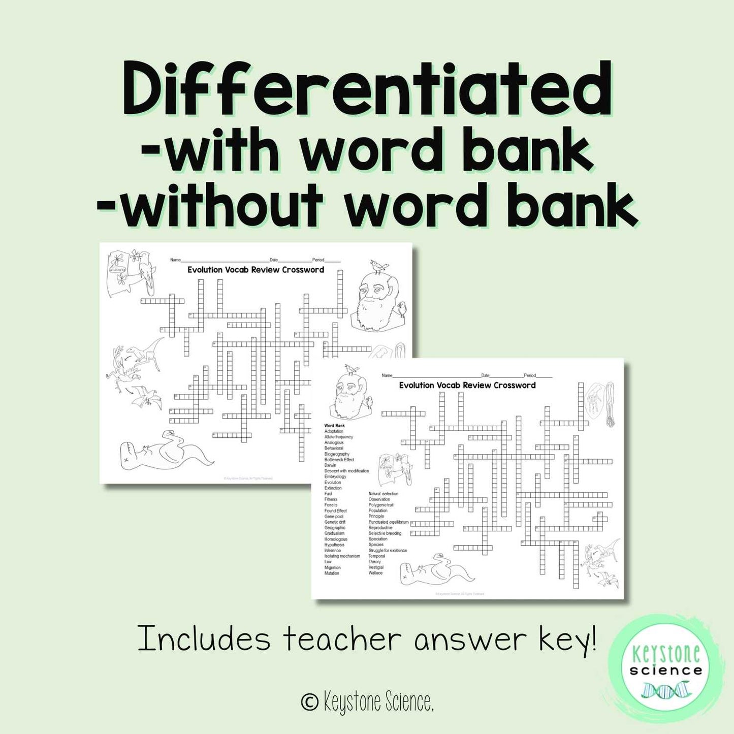 Evolution Vocabulary Review Crossword Puzzle | Natural Selection & Biology Activity