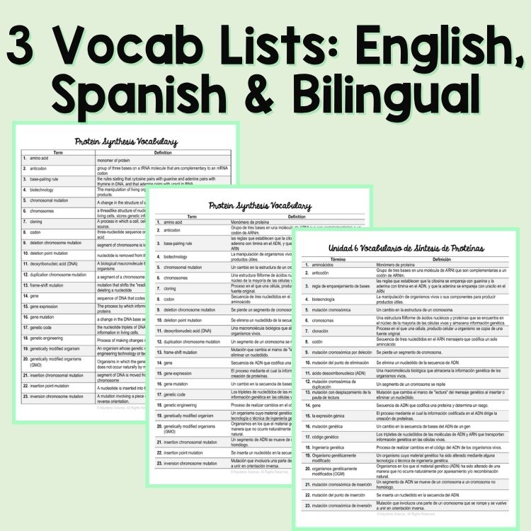 Protein Synthesis and Mutations Word Wall and Vocabulary ESL, ELL