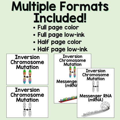 Protein Synthesis and Mutations Word Wall and Vocabulary ESL, ELL