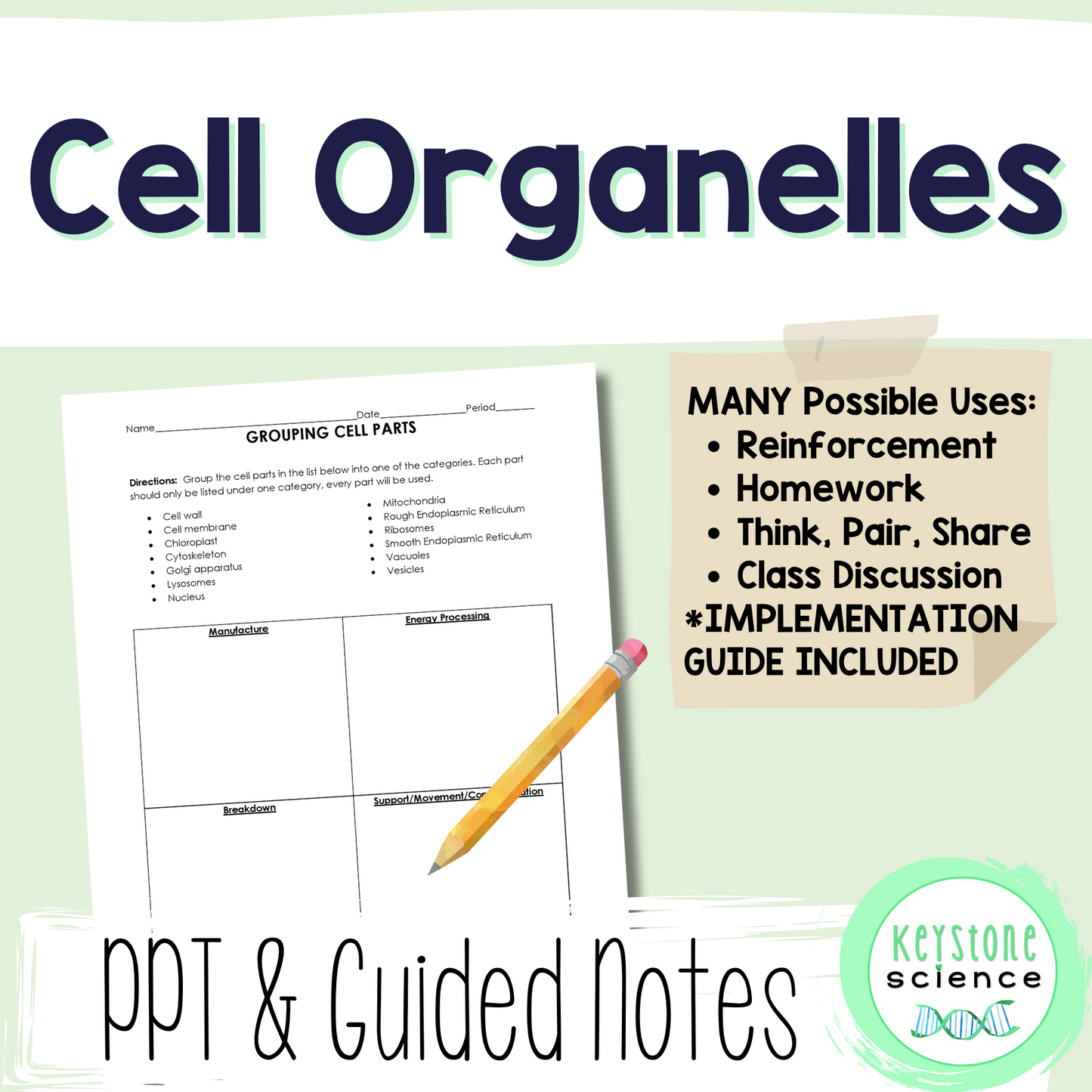 Grouping Cell Organelles by Function Class Discussion Activity Worksheet