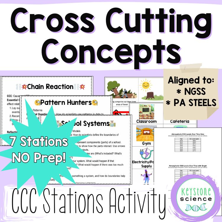 Crosscutting Concepts NGSS Introduction Stations