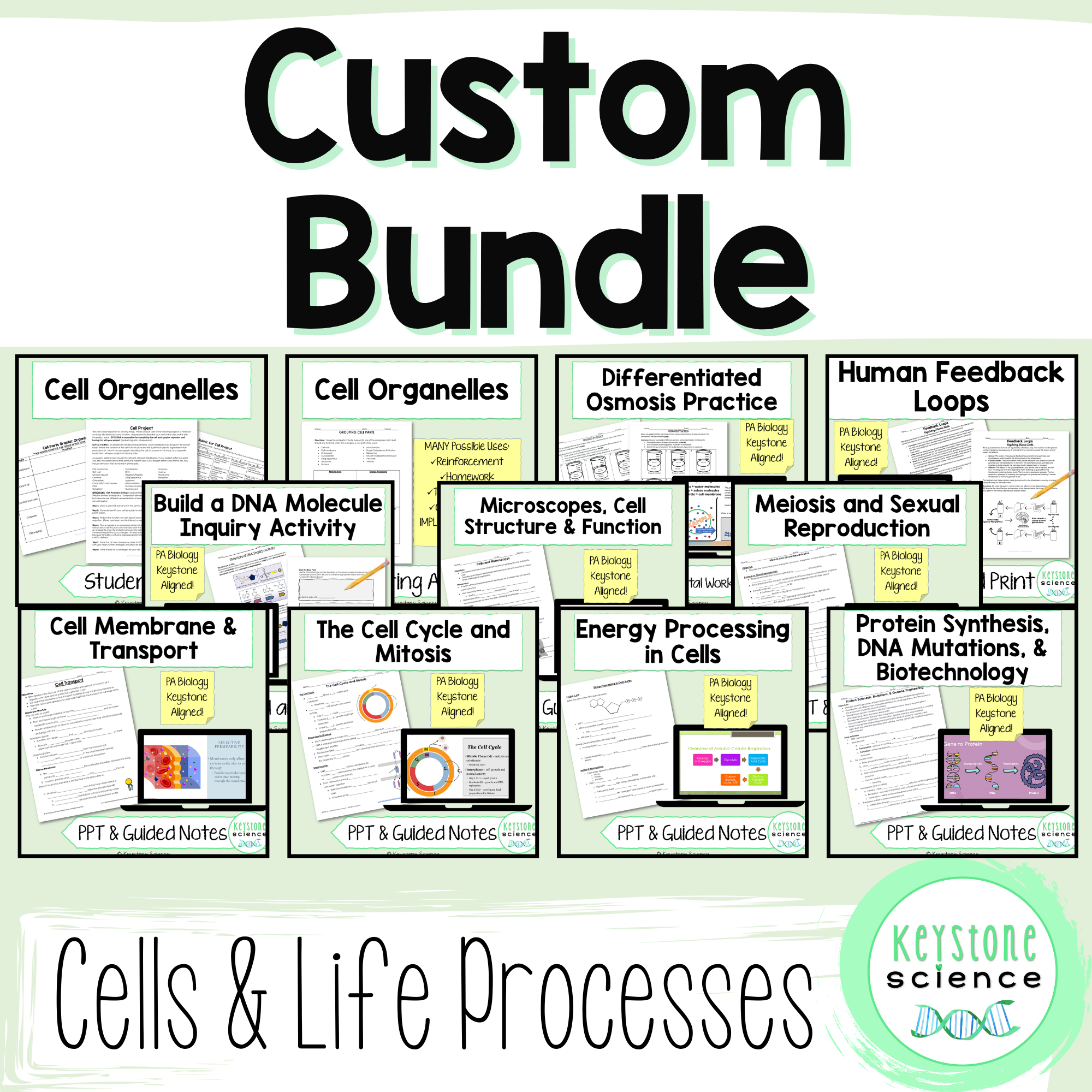 Custom Bundle of Cells & Life Processes PPTs, Notes, and Activities ...