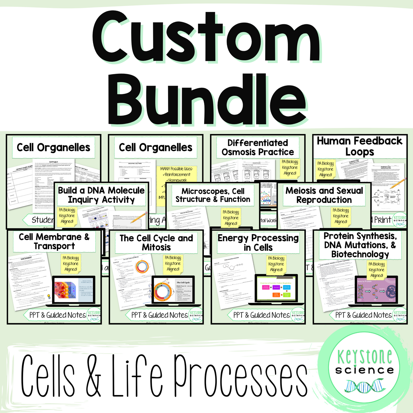 Custom Bundle of Cells & Life Processes PPTs, Notes, and Activities