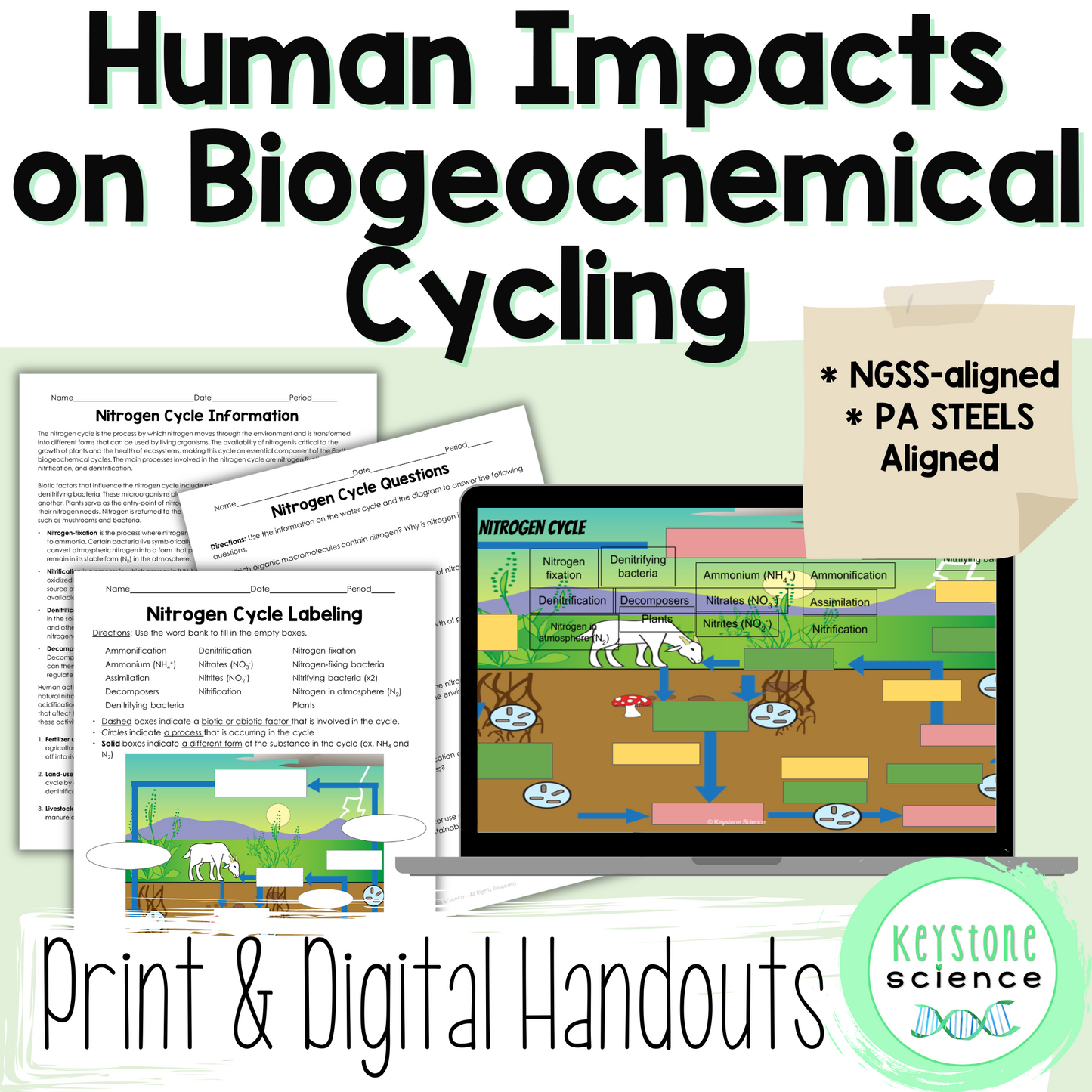 Biogeochemical Cycles Diagram Labeling: Water, Carbon, Nitrogen, Phosphorus