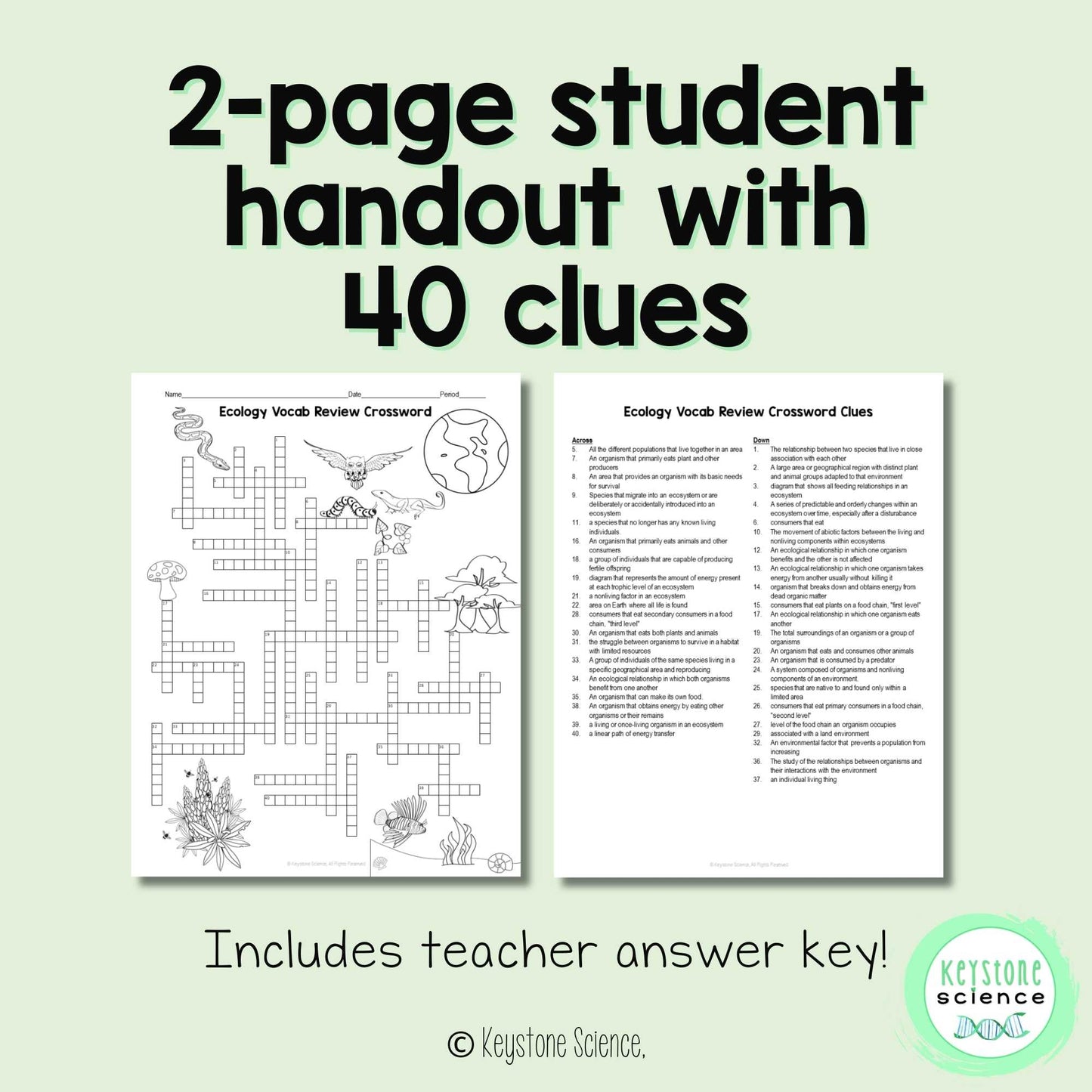 Ecology Vocabulary Review Crossword Puzzle