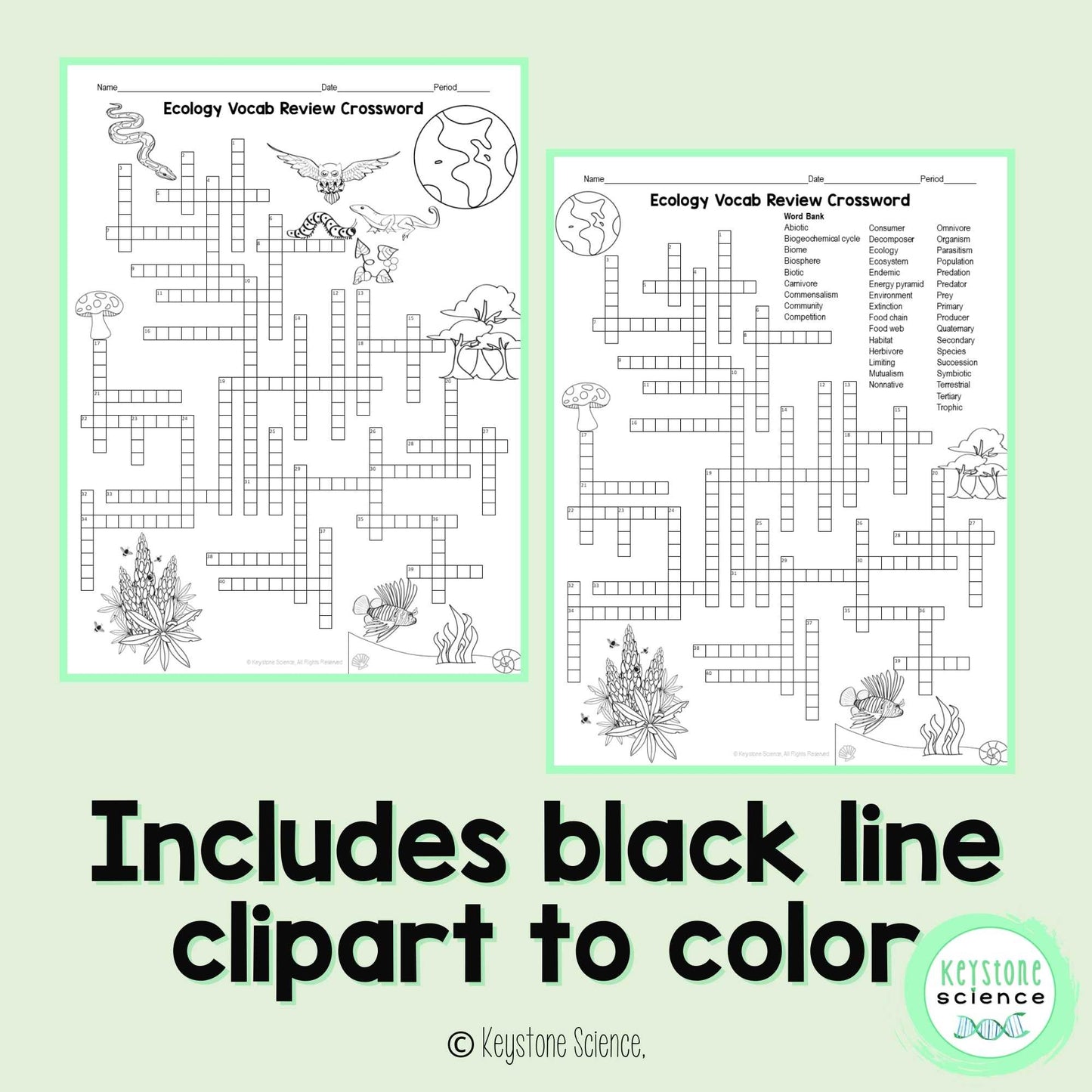 Ecology Vocabulary Review Crossword Puzzle