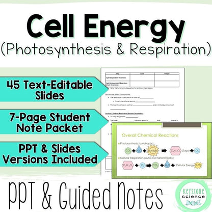 Cellular Respiration Photosynthesis PowerPoint and Guided Notes Keystone Aligned