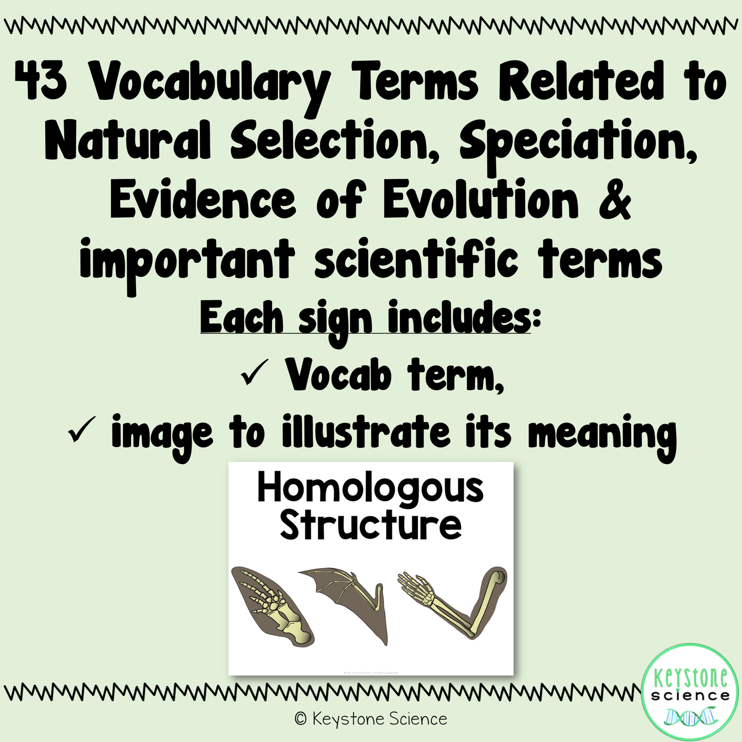 Evolution Word Wall Vocabulary Signs