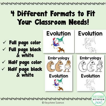 Evolution Word Wall Vocabulary Signs