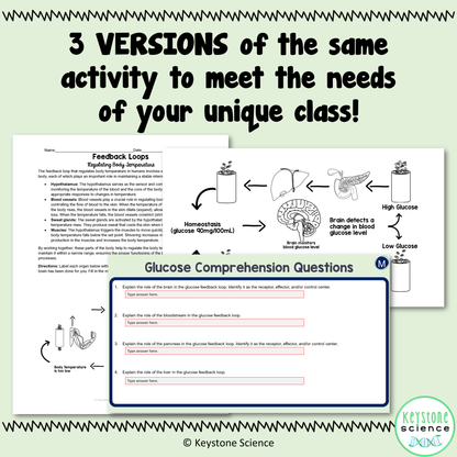 Human Feedback Loops Homeostasis Regulation Student Stations & Digital Activity