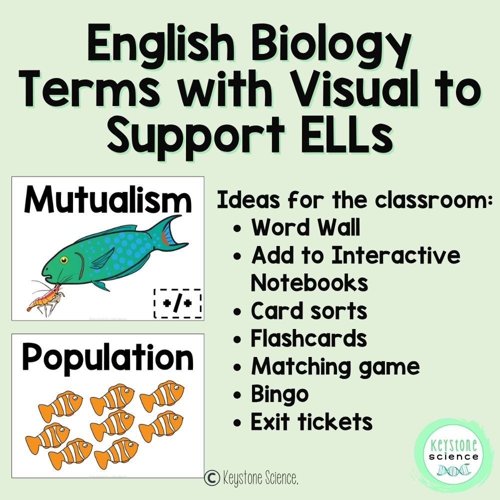 Ecology, Symbiotic Relationships Biology Word Wall and Vocabulary ELL, ESL