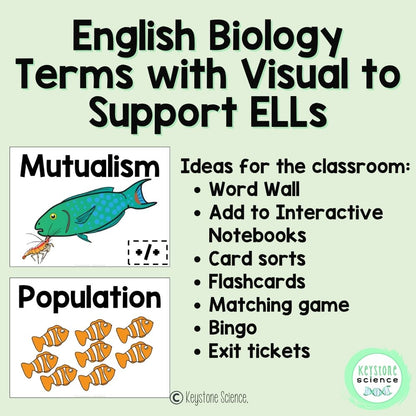 Ecology, Symbiotic Relationships Biology Word Wall and Vocabulary ELL, ESL