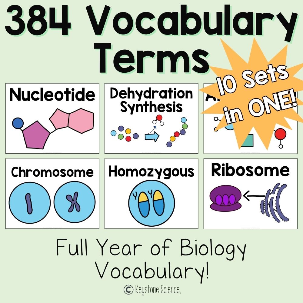 Biology Word Wall BUNDLE Prefixes, Suffixes Cells, Genetics, Evolution, Ecology
