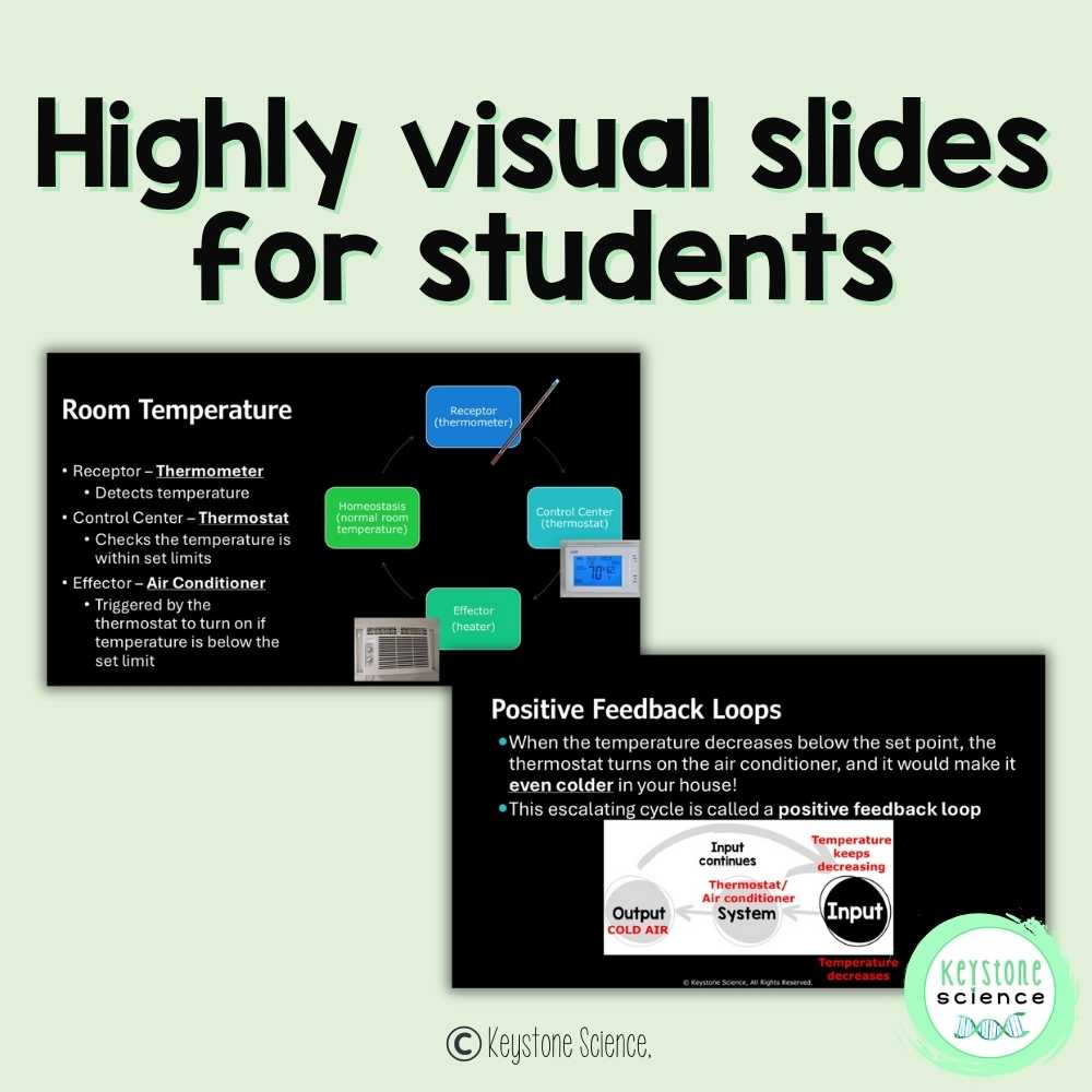 Homeostasis and Feedback Loops High School Biology Lecture Guided Notes
