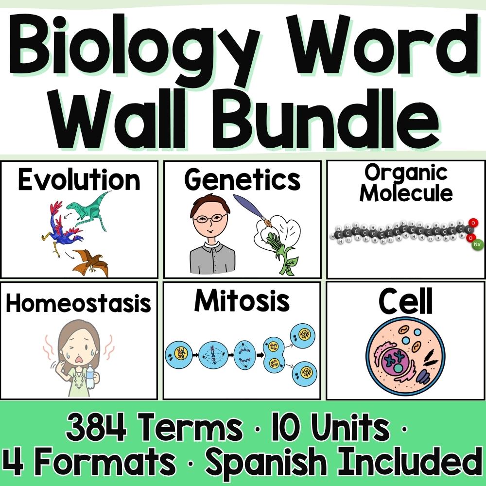 Biology Word Wall BUNDLE Prefixes, Suffixes Cells, Genetics, Evolution, Ecology