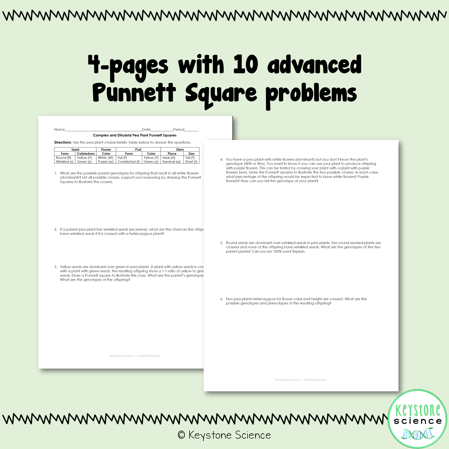 Advanced Monohybrid and Dihybrid Pea Plant Punnett Squares