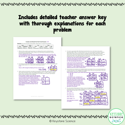 Advanced Monohybrid and Dihybrid Pea Plant Punnett Squares