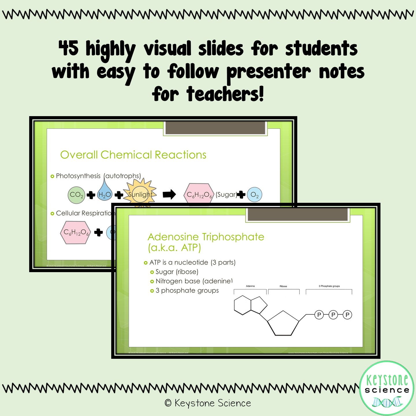 Cellular Respiration Photosynthesis PowerPoint and Guided Notes Keystone Aligned