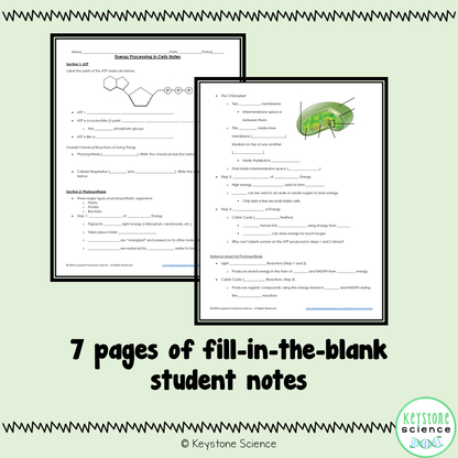 Cellular Respiration Photosynthesis PowerPoint and Guided Notes Keystone Aligned