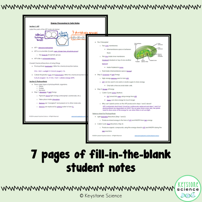 Cellular Respiration Photosynthesis PowerPoint and Guided Notes Keystone Aligned