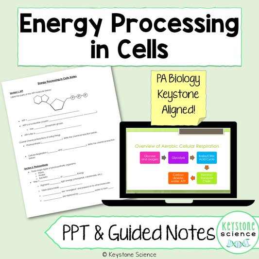 Cellular Respiration Photosynthesis PowerPoint and Guided Notes Keystone Aligned