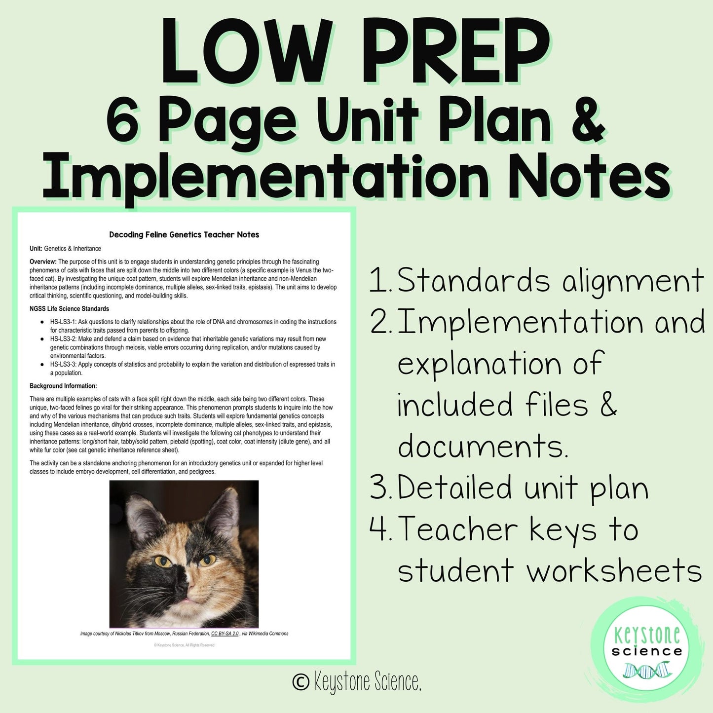 NGSS-Aligned Phenomena-Based Cat Coat Inheritance Genetics Unit Plan